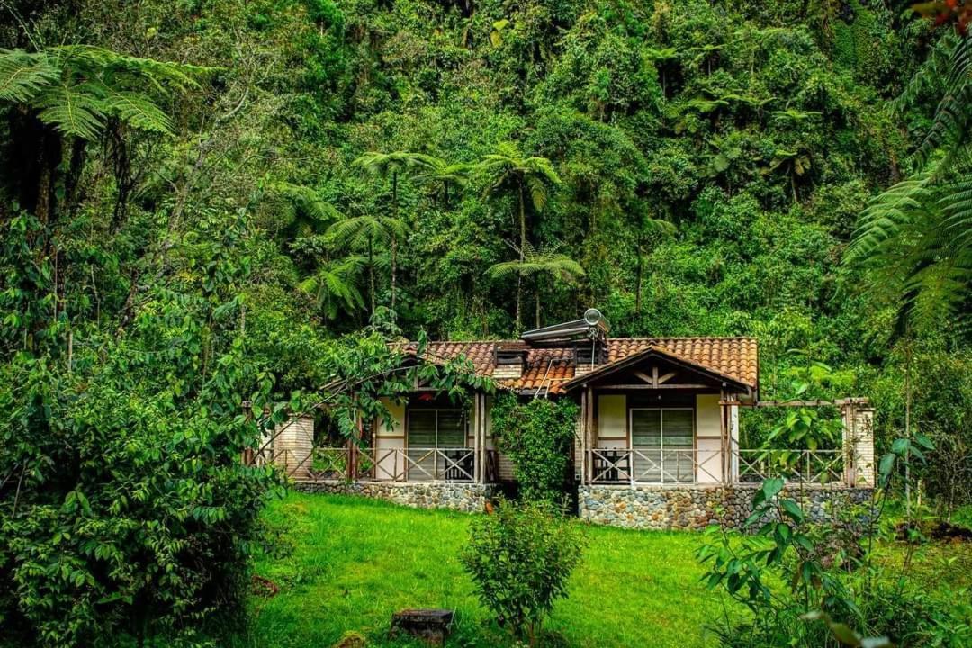 Hotel Termales San Vicente Santa Rosa de Cabal Kültér fotó